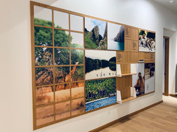 IMAGE DISPLAY